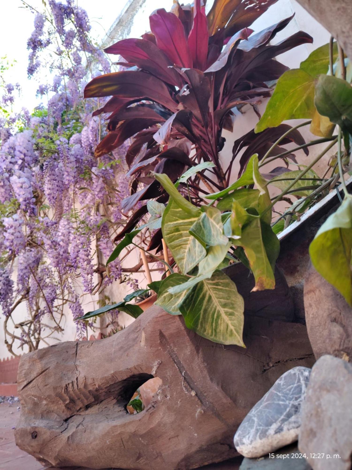 Villa Casa Kuyay à San Salvador de Jujuy Extérieur photo